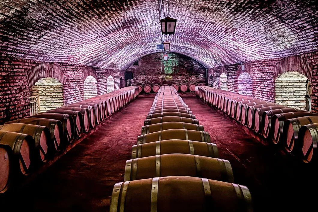 Tour do Marquês de Concha y Toro